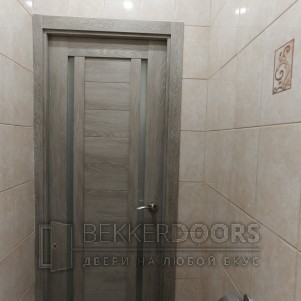 Дверь ПО DUPLEX 2 Мателюкс в цвете Дуб шале седой